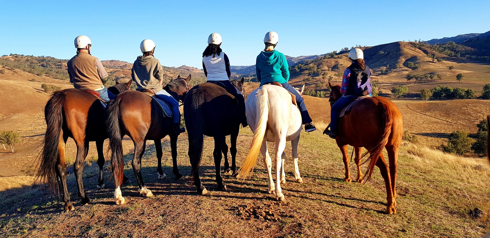 7 horse tours and travels